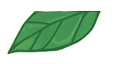 Hoja