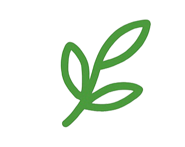 Hoja 3